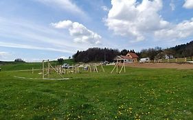 Cowboy'S Land